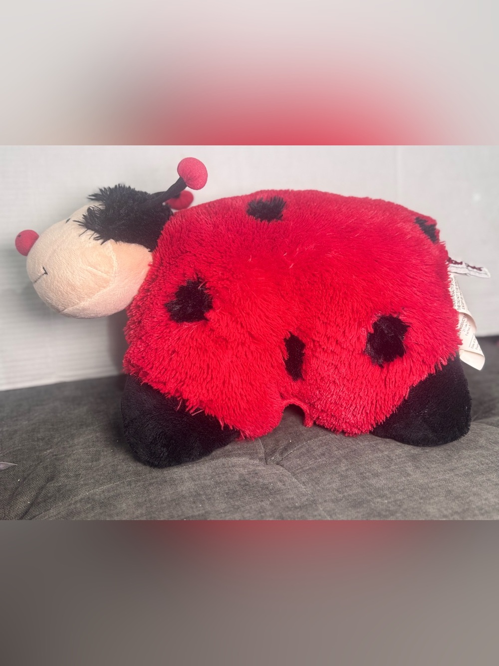 Lady Bug Pillow Pet